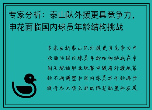 专家分析：泰山队外援更具竞争力，申花面临国内球员年龄结构挑战